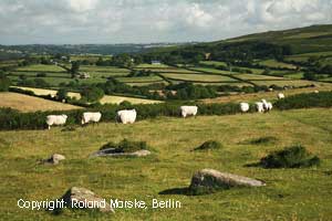 Dartmoor