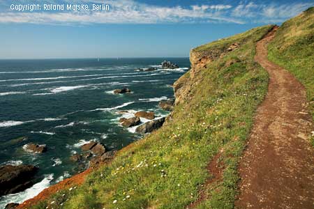 Lizard-Point