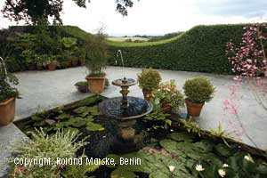 Lost_Garden_of_Heligan