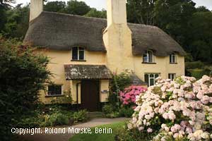 Selworthy-Cottage