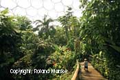 Eden Project