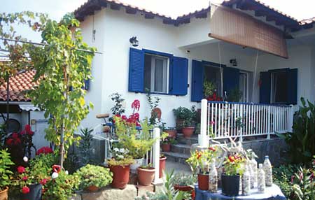 Vassilis