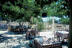 Die Taverne