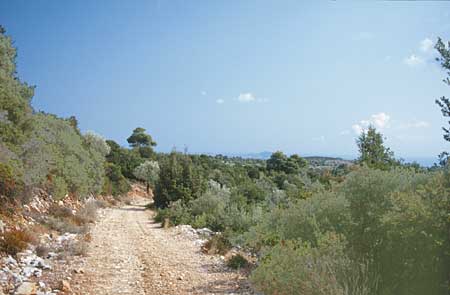 Wanderweg