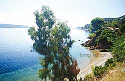 Der Strand unterhalb des Hauses