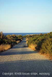 Landstra&szlig;e auf der Karpaz Halbinsel, Nordzypern