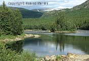 Kirkenes