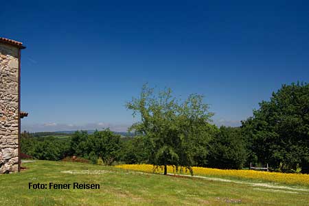 Landschaft vor Arzua
