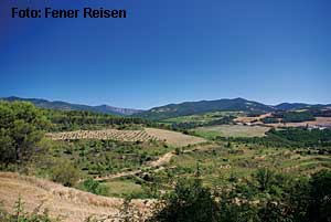 Landschaft bei Puente la Reina
