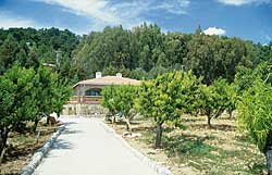 Der gro&szlig;z&uuml;gige Garten der Ferienvilla Eda