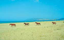 Der Strand von Sinop