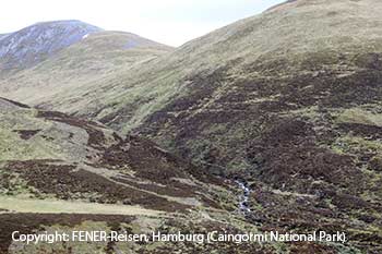 Cairngorm National Park