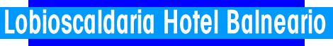 GRAN HOTEL HESPERIA LA TOJA