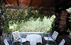 Die schöne Terrasse