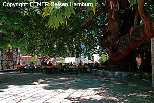 Brunnen in Tzangarada