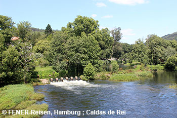 Calas de Rei