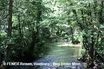 Der Weg hinter Mino