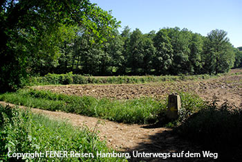 Unterwegs auf dem Jakobsweg