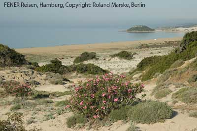 Golden Sand Beach auf der Karpaz-Halbinsel