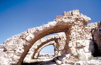 salamis