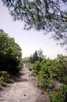 wanderweg