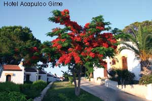 Bungalows des Hotels Acapulcu bei Girne in Nordzypern