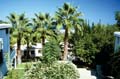 NZY Onus Village.1