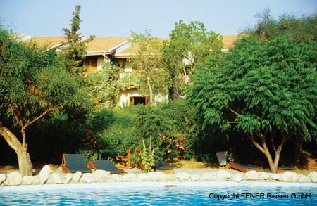 254RivieraPool
