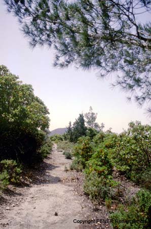 WanderwocheWeghoch