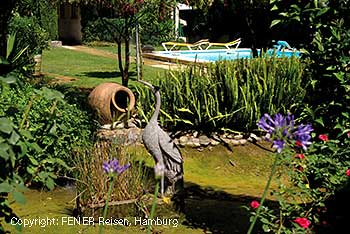 Pool des Casa da Nora Leiria