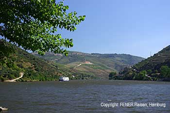 Weinberge am Douro, hier kommt der Wein für den Portwein her.