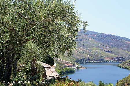 Der Douro in Portugal