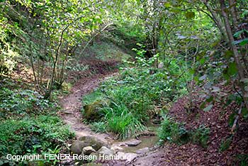 Wandern in der Nähe von Akcakoca