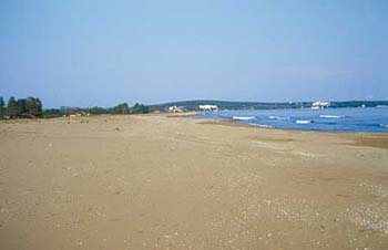 sinopstrand